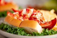 1/2 lb Freshly Cooked Lobster Meat